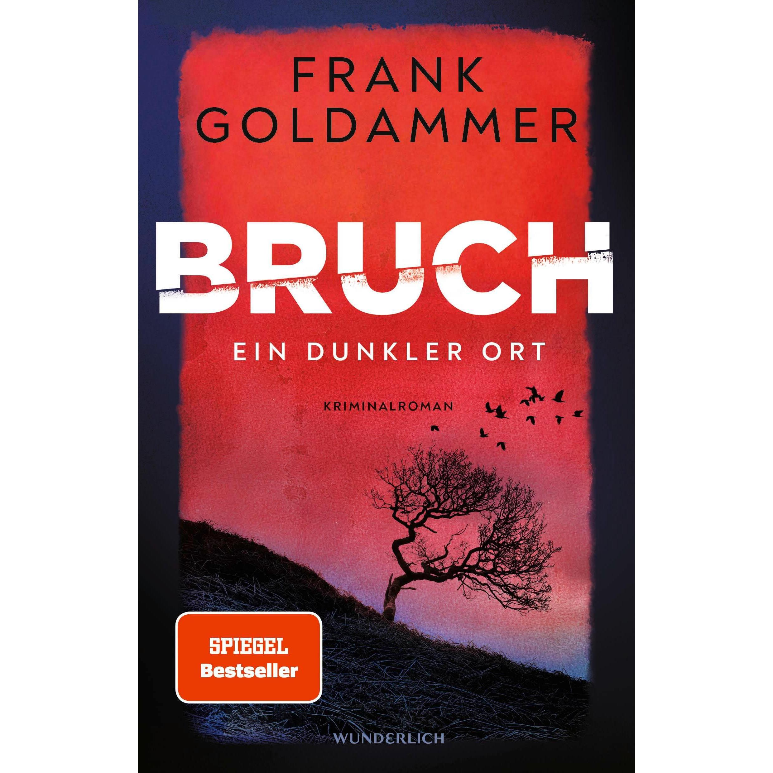 Bruch, Belletristik von Frank Goldammer