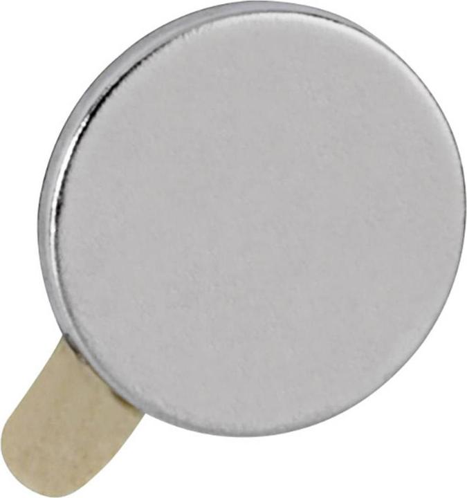 Image du produit Maul Aimant de retenue au néodyme (20 x)