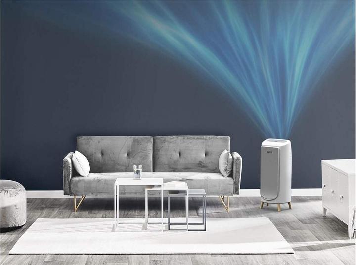 Actual product image Rowenta Intense Pure Air (36 m²)