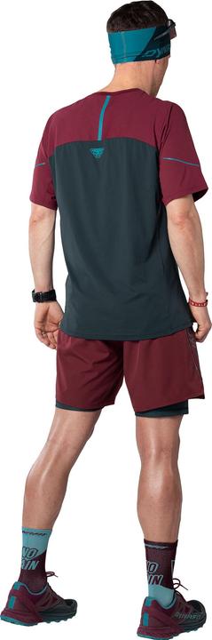 Immagine prodotto Dynafit Maglietta Alpine Pro M S/S (52, XL)