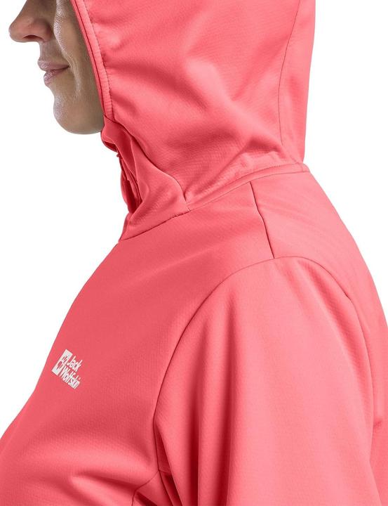 Immagine prodotto Jack Wolfskin Feldberg Hoody W (M)