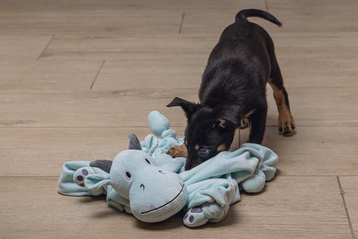Actual product image Beeztees Puppy Flatino Unicorn (Puppy Toy)