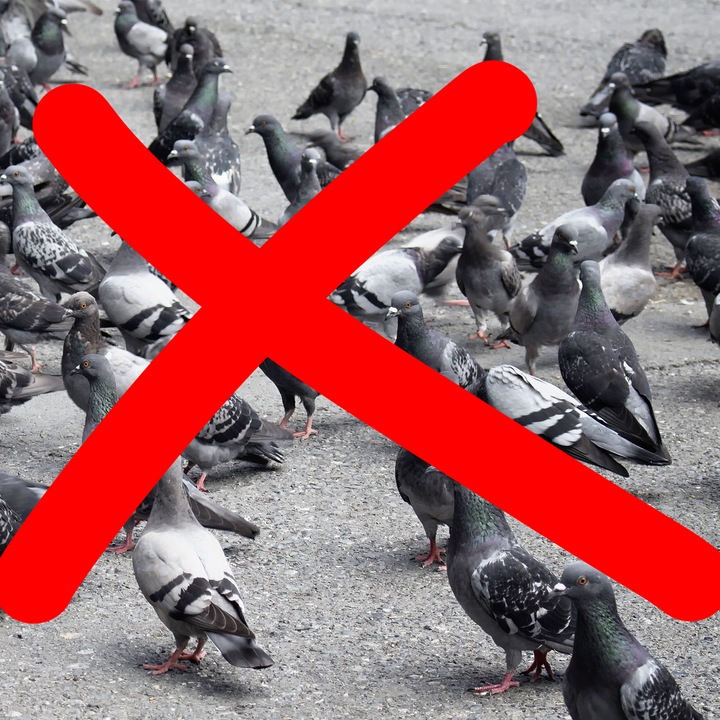 Actual product image Relaxdays Bird repellent spiral