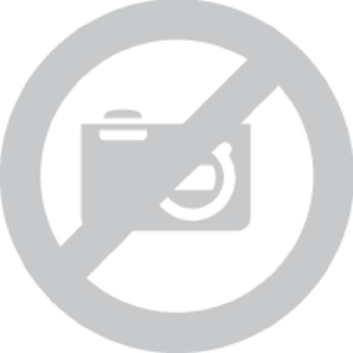 Immagine prodotto Fristom Luce posteriore da nebbia a LED FT 400 e supporto