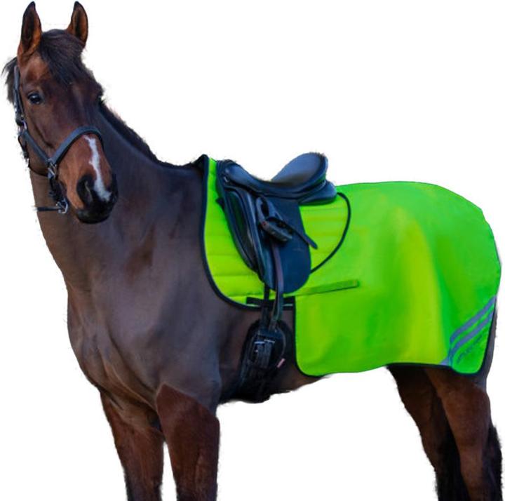 Actual product image HyVIZ Reflector Mesh Horse Quarter Exercise Sheet