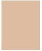 Actual product image MAC Cosmetics Pro Longwear Concealer (DN20)