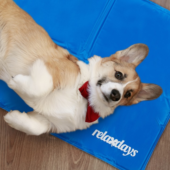 Image du produit Relaxdays Tapis de refroidissement (Chien)