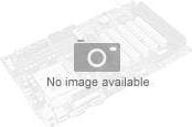 Actual product image ASUS MB PRO A620M-DASH-CSM (AMD,AM5,DDR5,mATX) (AM5, AMD A620, mATX)