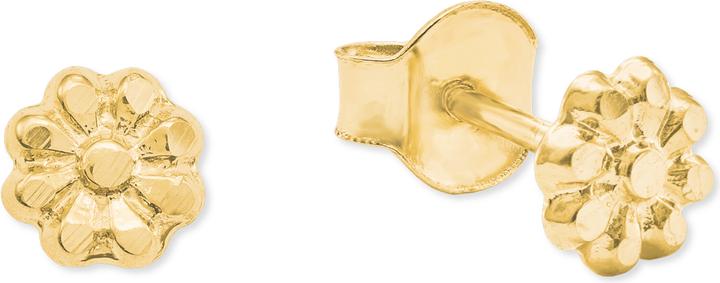 Image du produit Amor Boucles d'oreilles (Or)