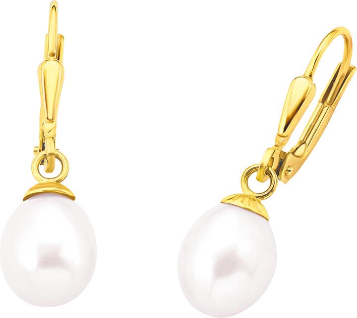 Image du produit Amor Boucles d'oreilles pendentif (Or)