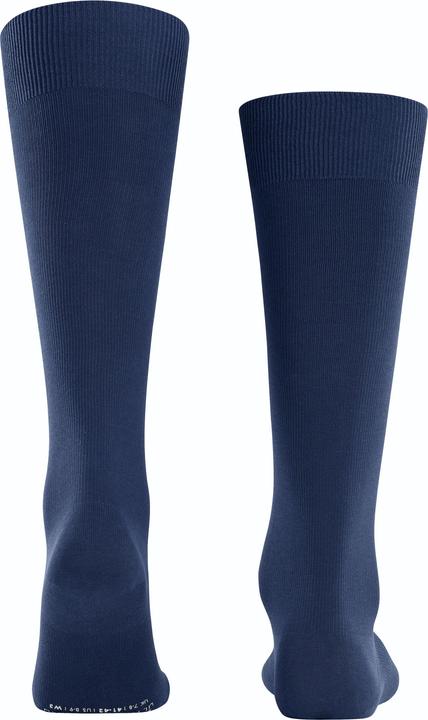 Produktbild Falke Ultra Energizing KH (45 - 46)