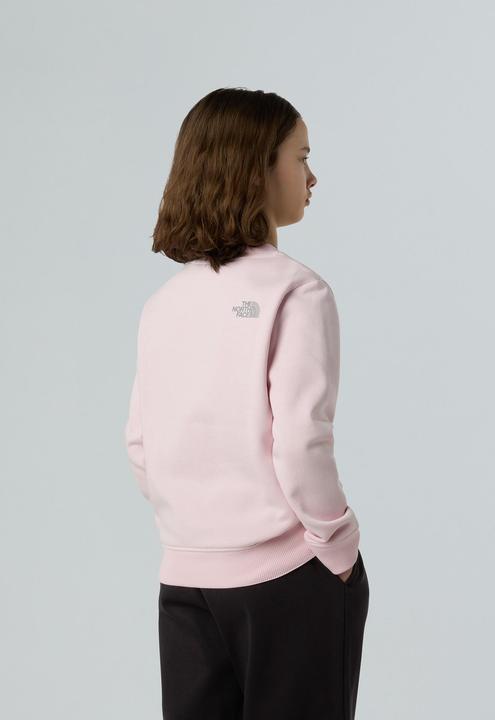 Immagine prodotto North Face Reflective Logo Relaxed Crew (134, 140)