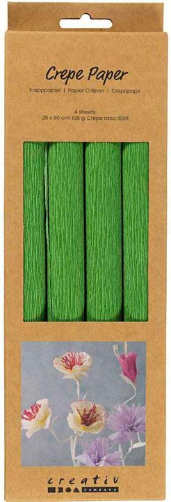 Immagine prodotto Creativ Company Krepppapier 4 Rollen 25 x 60 cm, Grün (105 g/m², 4 x)