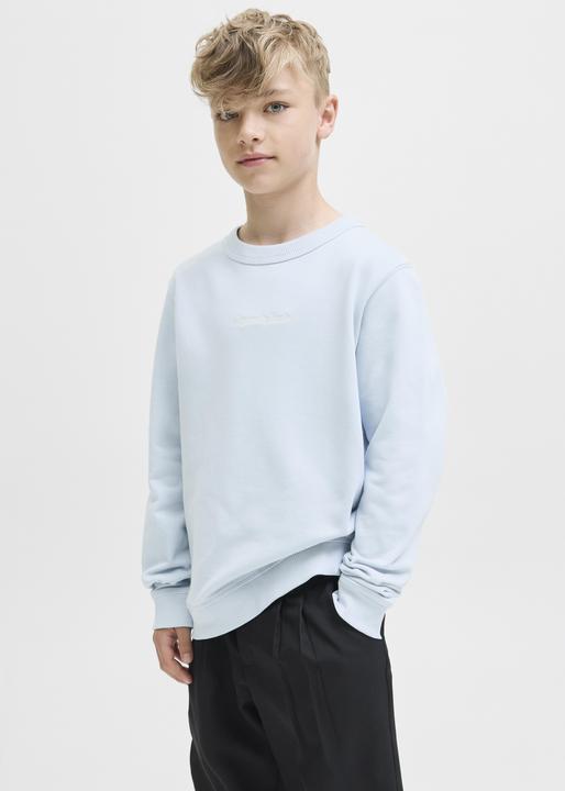 Actual product image Jack & Jones Sweatshirt Junior Sweatshirt (140)