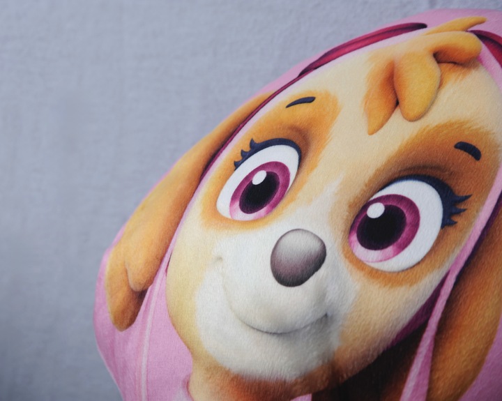 Actual product image Herding Paw Patrol Moulded Cushion (Skye) (5 x 25 x 34 cm)