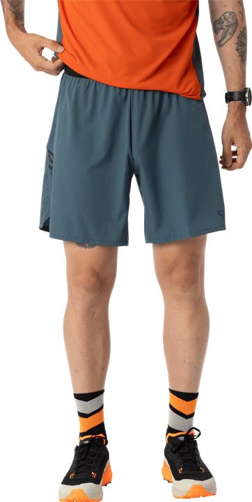 Produktbild Dynafit Alpine Shorts (46, S)