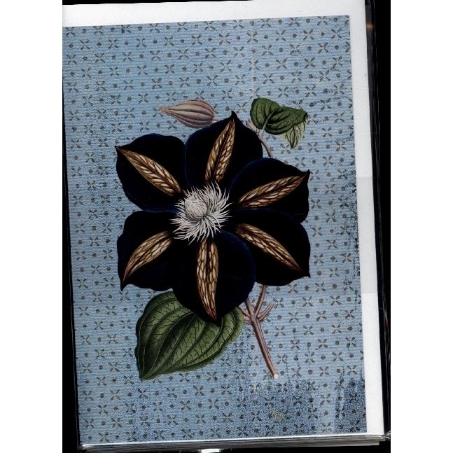Gerstenberg, Grusskarte + Briefpapier, VE Gärten der Künstler Winterträume Klappkarte - Motiv Star of India 5 Ex. (5 Stk...