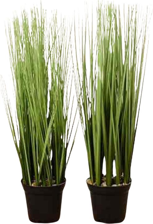 Actual product image Boltze Home Grass in a pot (54 cm)