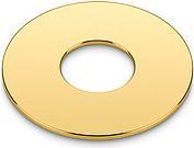 Schaller Toggle Switch Plate or