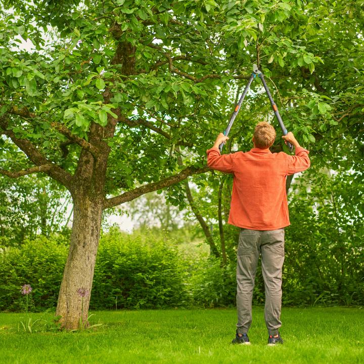 Image du produit Gardena Astschere TeleCut Pro L (grau/türkis, 65cm - 90cm)