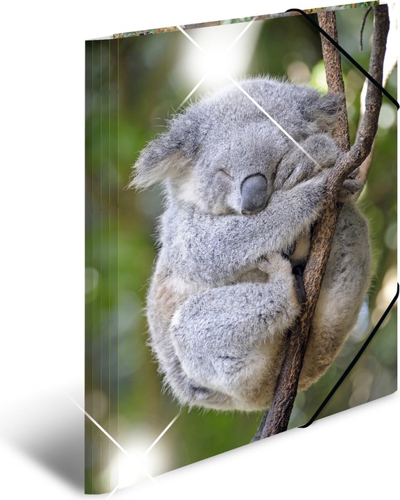 Actual product image Herma A3 motif folder (A3, 1 x)