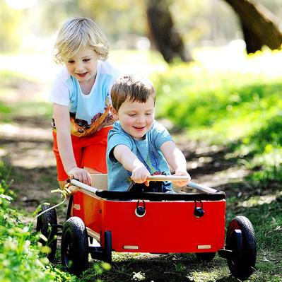 Actual product image Wishbone Wagon
