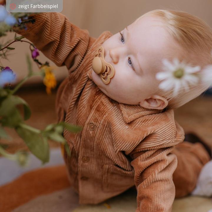 Immagine prodotto Bibs Succhietto supremo in silicone (confezione da 2), Cloud & Steel Blue (taglia 1, 0-6M) (2 x, fino a 6 M.)