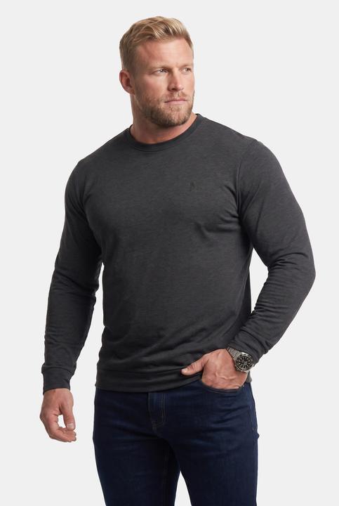 Produktbild Men+ Langarmshirt, Bauchfit, Spezialschnitt, Basic, Rundhals, bis 10 XL (10XL)