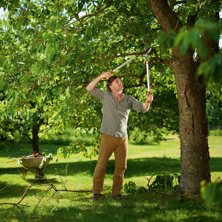 Image du produit Wolf-Garten Ciseaux à branches