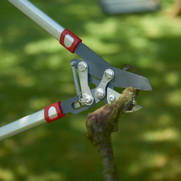 Produktbild Wolf-Garten Astschere