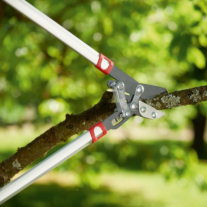 Image du produit Wolf-Garten Ciseaux à branches