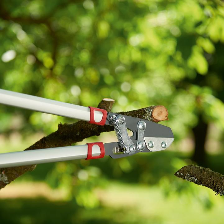 Produktbild Wolf-Garten Astschere