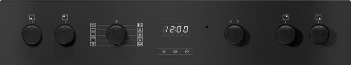Produktbild Miele H 2456-60 EP ACTIVE