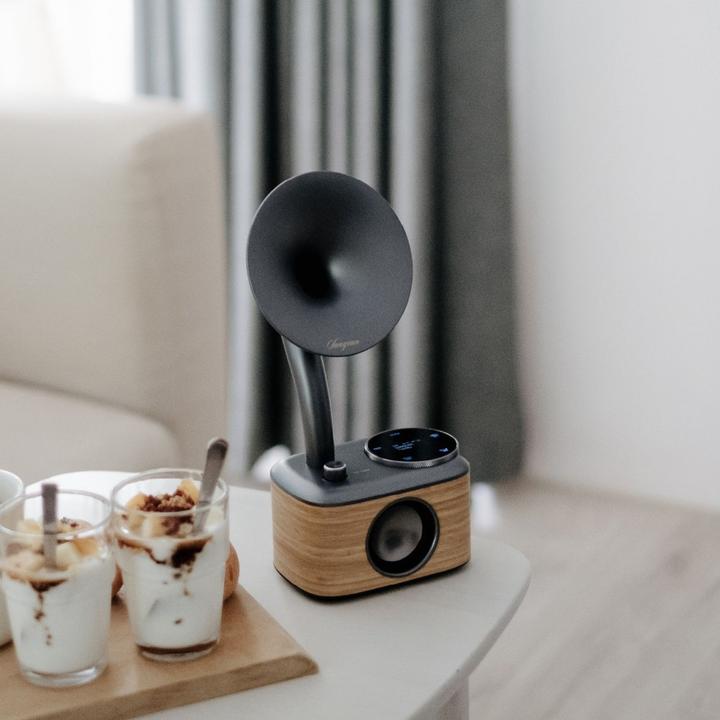 Produktbild Sangean CP 100D (DAB, DAB+, FM, Bluetooth)