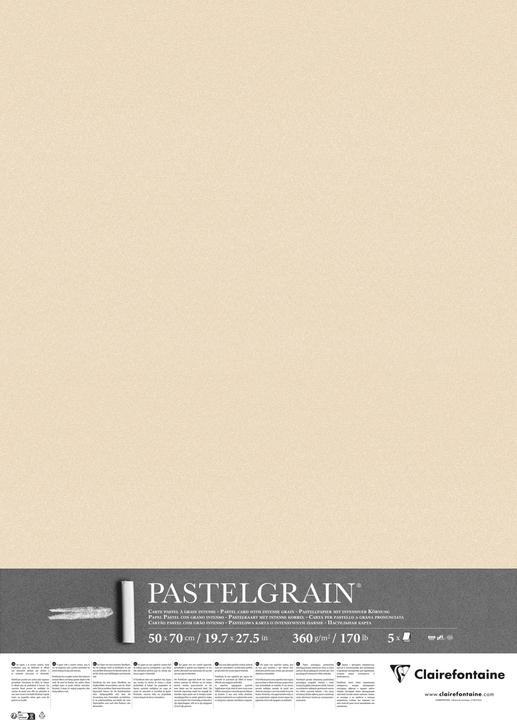 Immagine prodotto Clairefontaine PastelGrain 50x70cm 5 Bogen 360g - Maisfarben (360 g/m², 5 x)