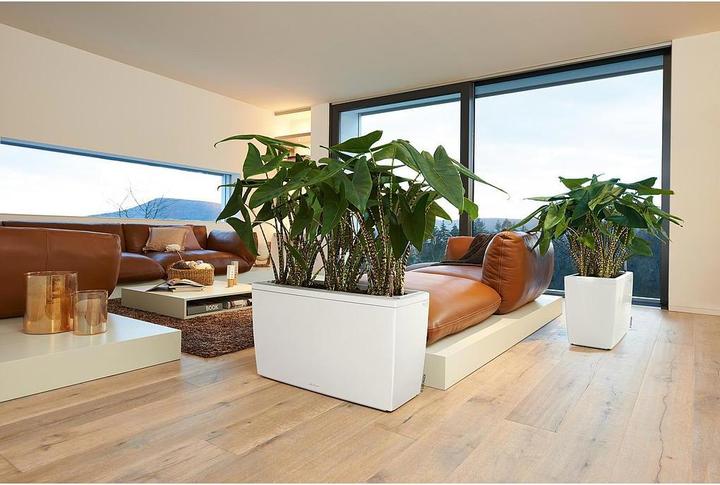 Produktbild Lechuza Cararo (75 x 30 x 43 cm)