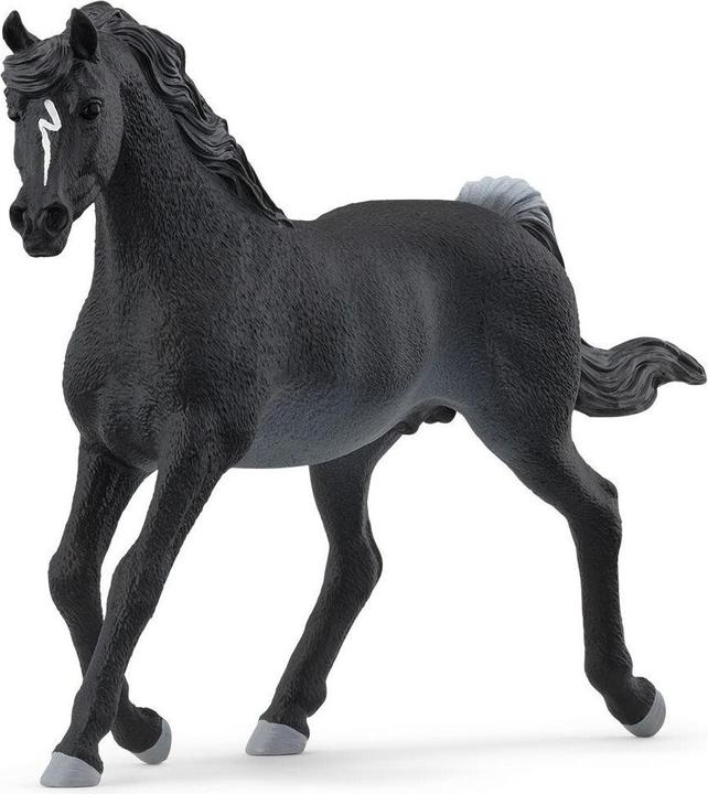 Image du produit Schleich Horse Club 13981 Araber Hengst