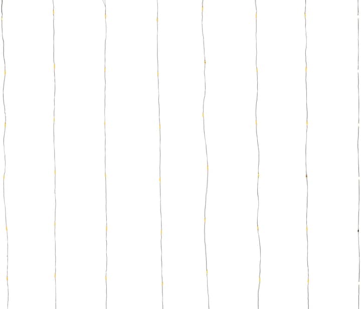 Immagine prodotto STT Capelli d'angelo (1.60 m)