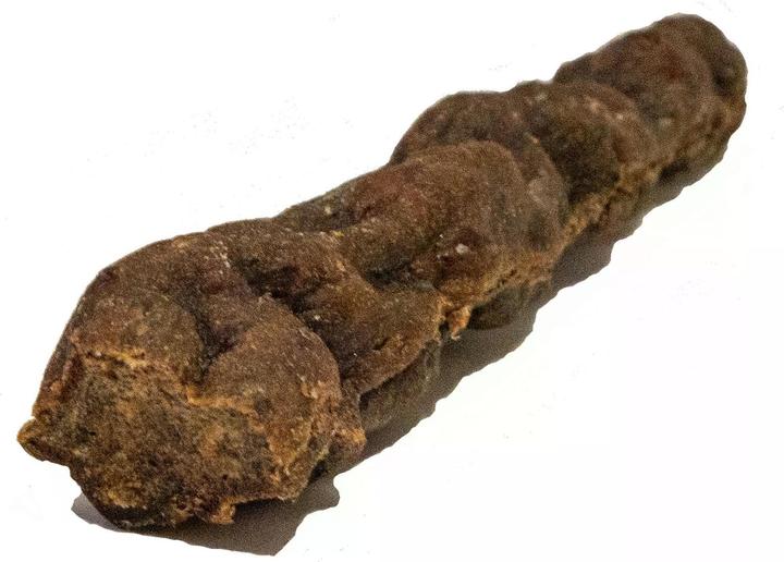 Image du produit Essendia Friandise à mâcher tiges de cerf, 200 g (Senior, Adulte, Junior, 1 pcs, 220 g)