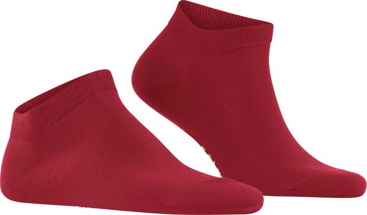 Produktbild Falke ClimaWool SN (Einzelpack, 43 - 44)
