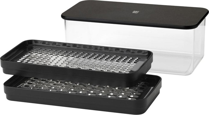 Actual product image Rig-Tig by Stelton RIGTIG GRATEIT grater with container