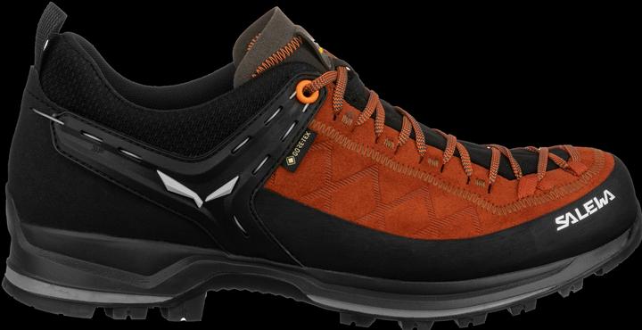 Actual product image Salewa Mountain Trainer 2 GORE-TEX® shoes (46.5)