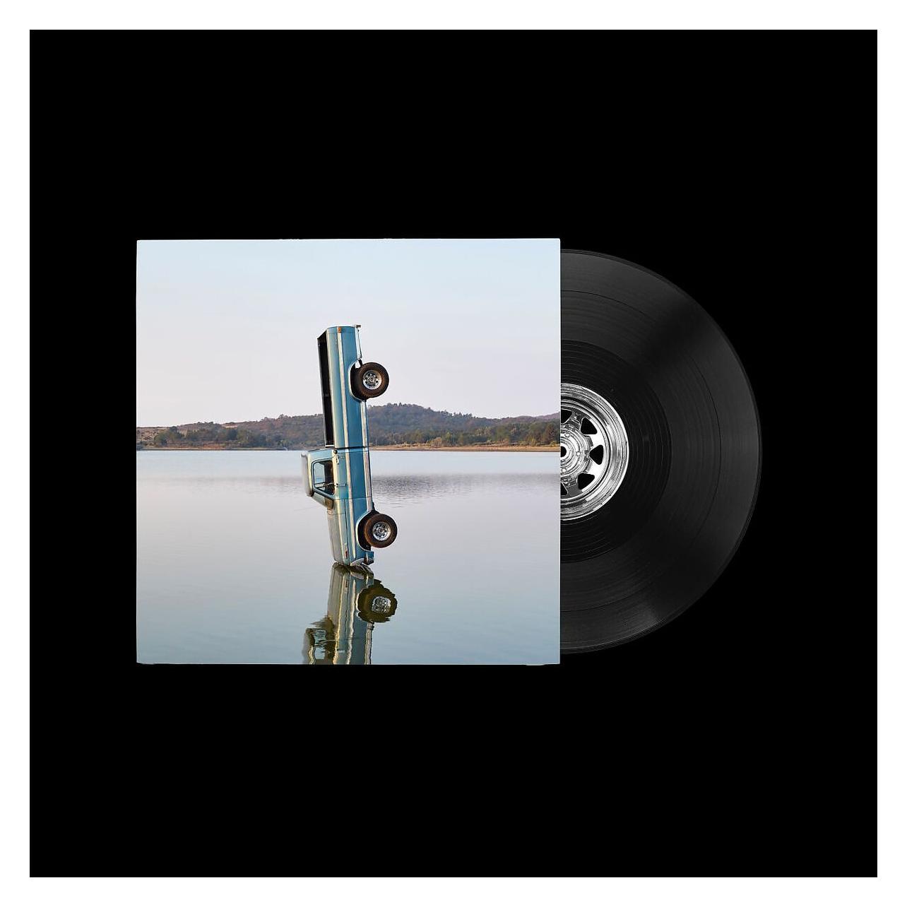 Republic F-1 Triljoen, Vinyl