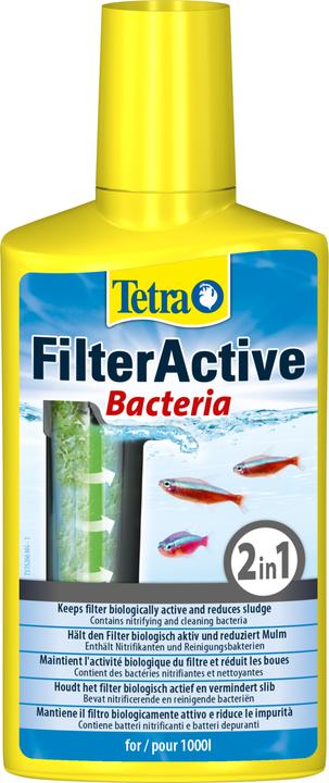 Tetra FilterActive (Wasserpflege Aquarium)