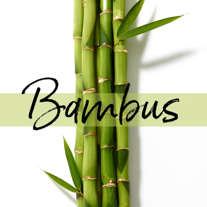 Actual product image Pantene Miracles Grow Strong Shampoo With Biotin And Bamboo, 250 ml (250 ml, Liquid shampoo)