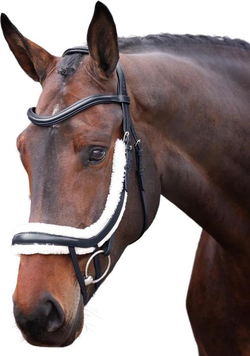 Image du produit Velociti - Muserolle avec noseband pour chevaux RAPIDA