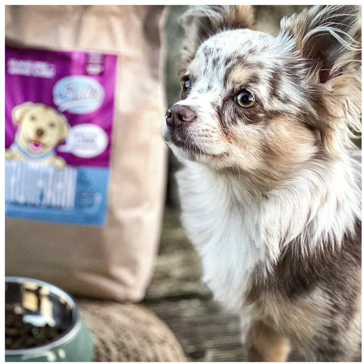 Actual product image Sollis Dry food dog junior minis turkey 500g (Junior, 1 pcs., 500 g)