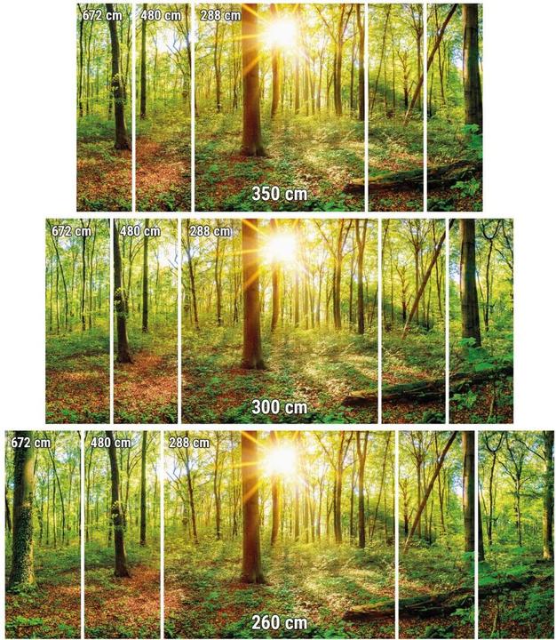 Actual product image Trenddeko Deep in the forest (480 x 350 cm)