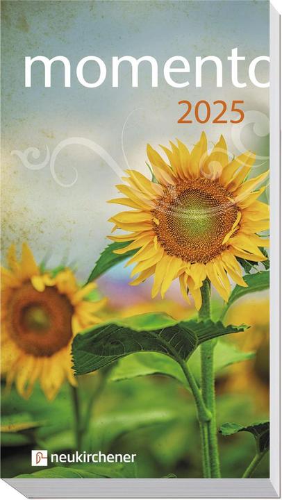 Produktbild momento 2025 - Taschenbuch (1 Tag / 1 Seite)