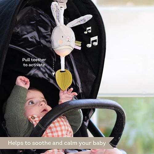 Actual product image Taf Toys Lapin